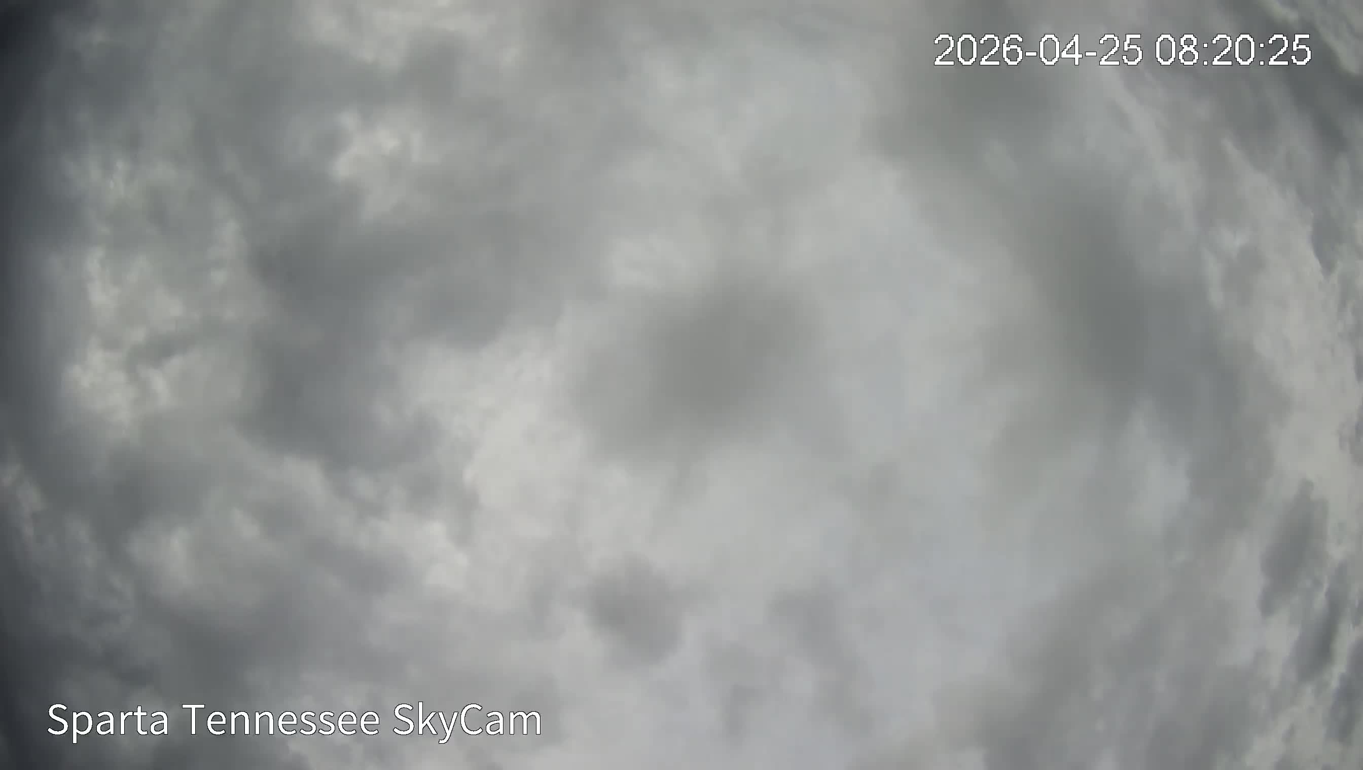 Snapshot Image